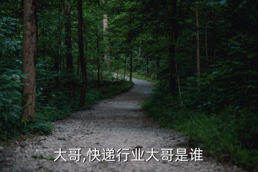 大哥,快递行业大哥是谁