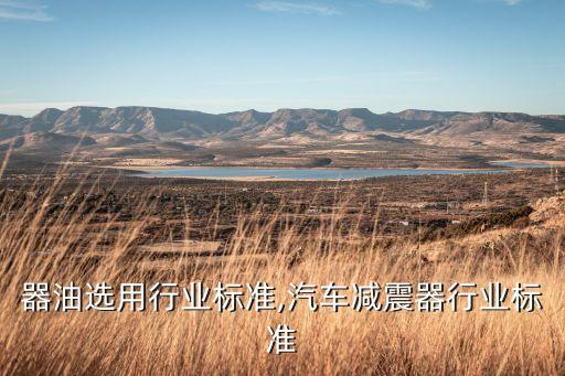 减震器油选用行业标准,汽车减震器行业标准