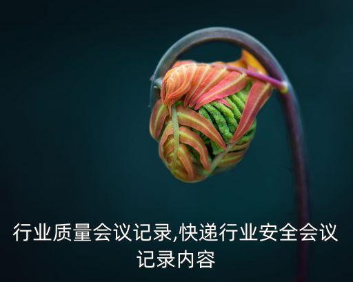 塑料行业质量会议记录,快递行业安全会议记录内容