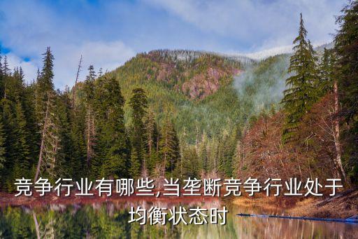 垄断竞争行业有哪些,当垄断竞争行业处于均衡状态时