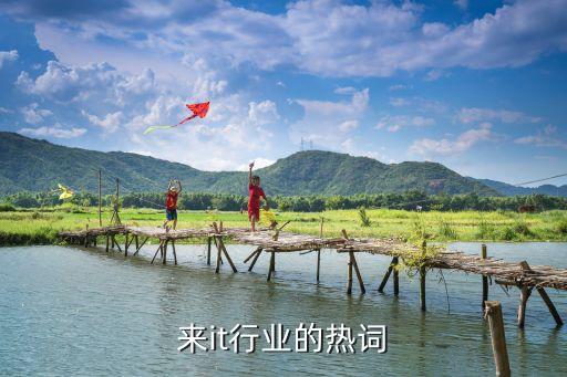 近年来it行业的热词