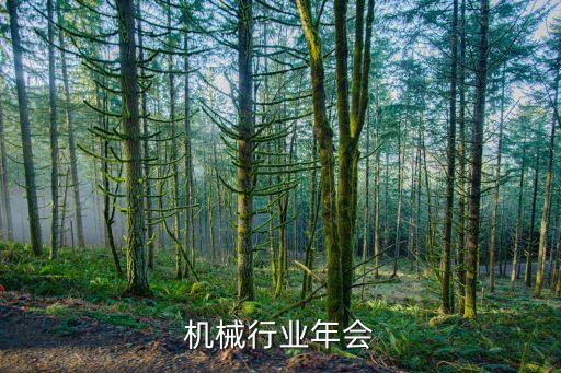 机械行业年会