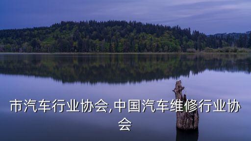 市汽车行业协会,中国汽车维修行业协会