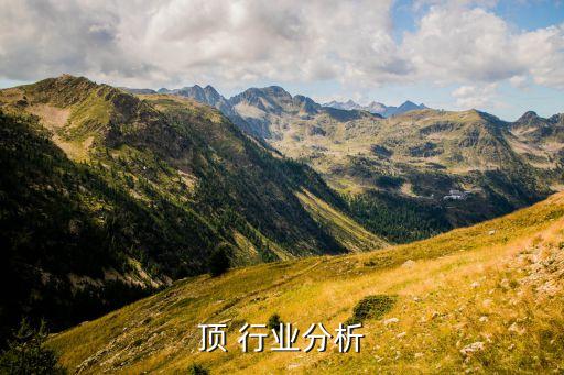 顶 行业分析
