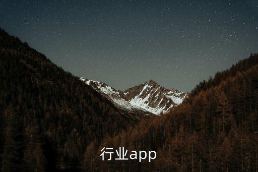 行业app