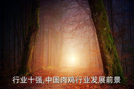 肉鸡行业十强,中国肉鸡行业发展前景
