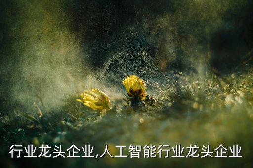 行业龙头企业,人工智能行业龙头企业