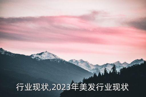 行业现状,2023年美发行业现状