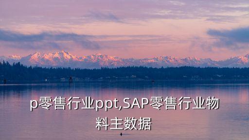 p零售行业ppt,SAP零售行业物料主数据