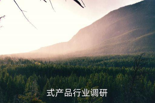 式产品行业调研