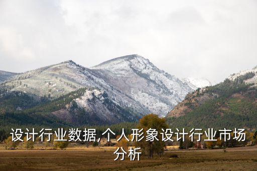 形象设计行业数据,个人形象设计行业市场分析