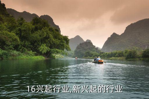 16兴起行业,新兴起的行业