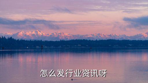 怎么发行业资讯呀
