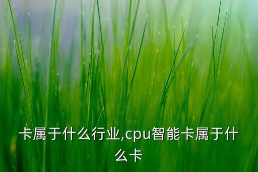 智能卡属于什么行业,cpu智能卡属于什么卡