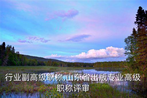 行业副高级职称,山东省出版专业高级职称评审