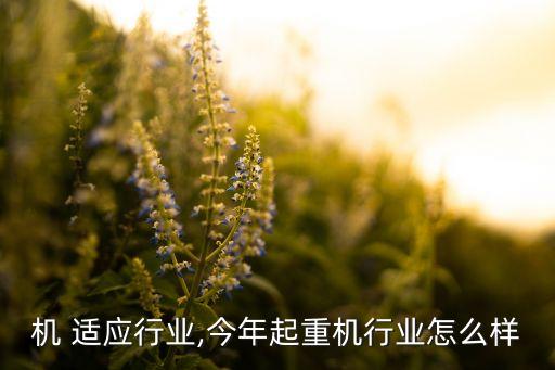 机 适应行业,今年起重机行业怎么样
