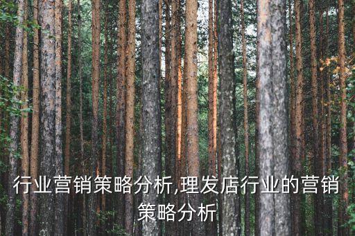 行业营销策略分析,理发店行业的营销策略分析
