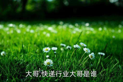 大哥,快递行业大哥是谁