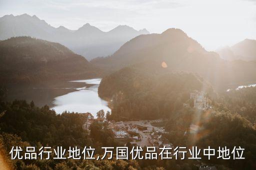 聚美优品行业地位,万国优品在行业中地位