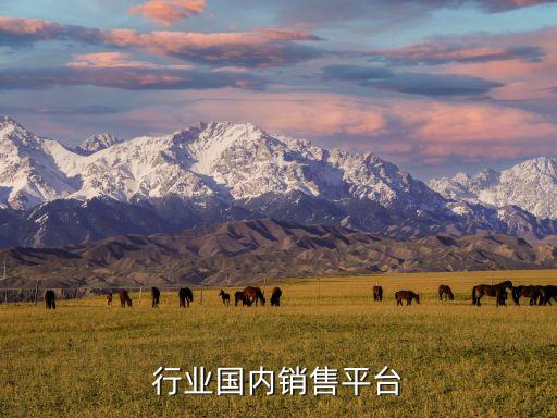 铸造行业国内销售平台