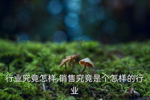 行业究竟怎样,销售究竟是个怎样的行业