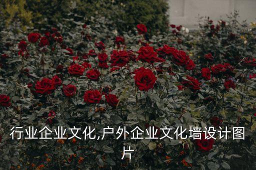 户外行业企业文化,户外企业文化墙设计图片
