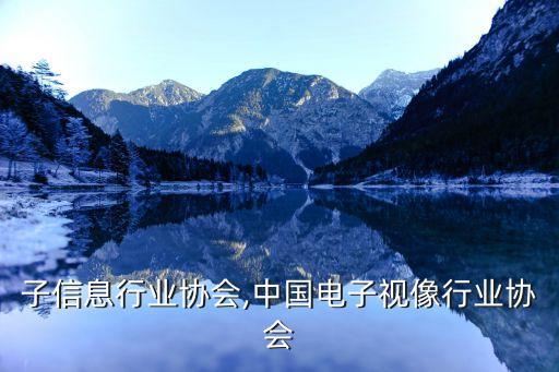 光电子信息行业协会,中国电子视像行业协会