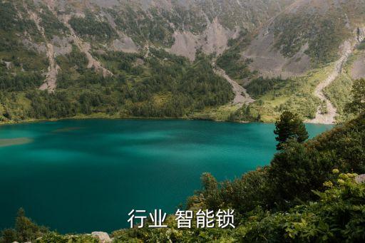 行业 智能锁