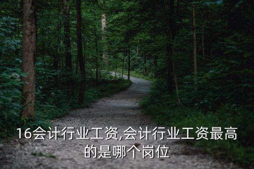 2016会计行业工资,会计行业工资最高的是哪个岗位