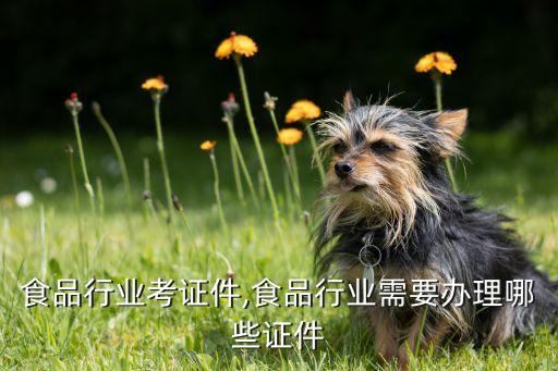 从业食品行业考证件,食品行业需要办理哪些证件