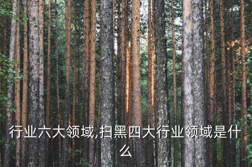 行业六大领域,扫黑四大行业领域是什么