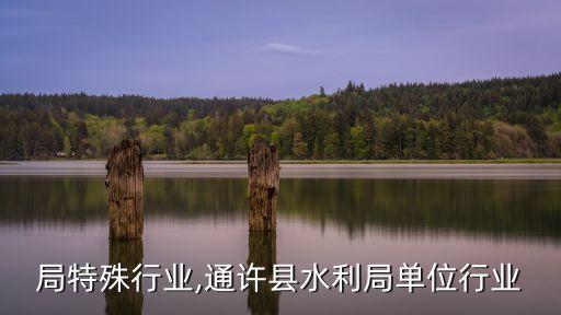 局特殊行业,通许县水利局单位行业