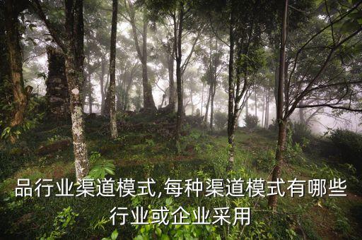 化妆品行业渠道模式,每种渠道模式有哪些行业或企业采用