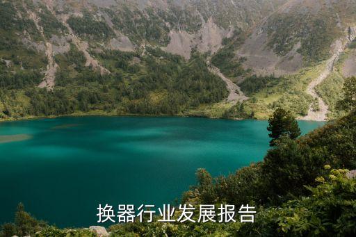 换器行业发展报告