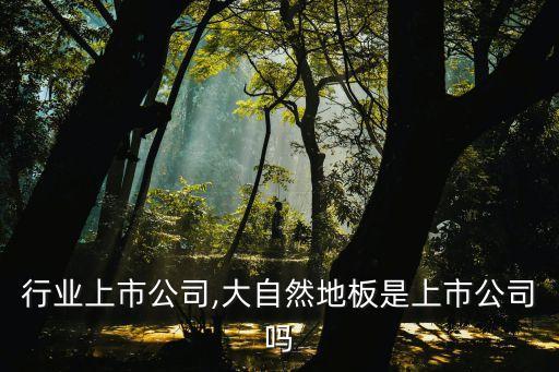 地板行业上市公司,大自然地板是上市公司吗