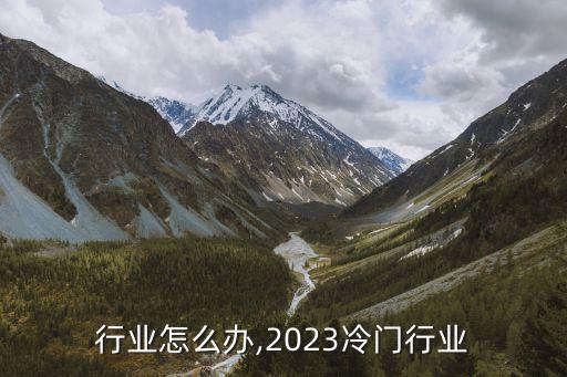 行业怎么办,2023冷门行业
