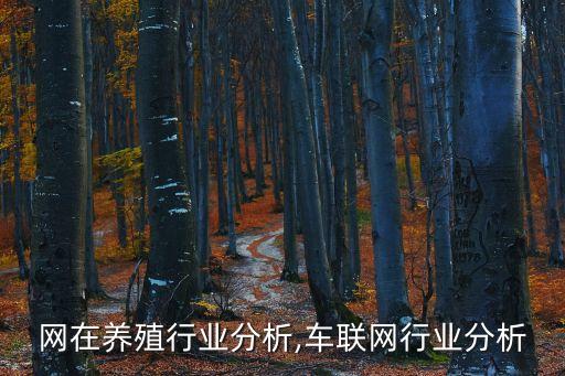 物联网在养殖行业分析,车联网行业分析