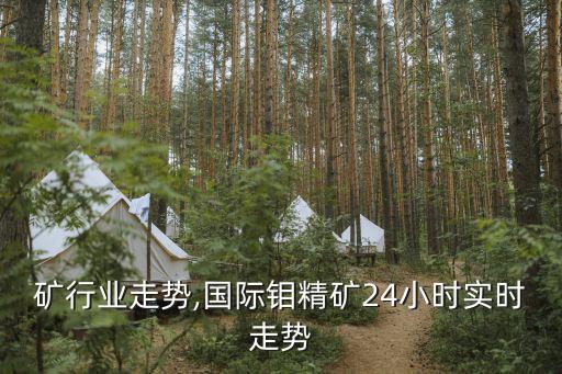 矿行业走势,国际钼精矿24小时实时走势