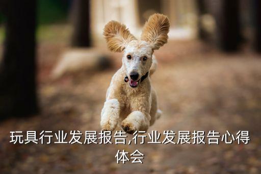 玩具行业发展报告,行业发展报告心得体会