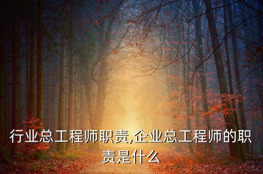 服务行业总工程师职责,企业总工程师的职责是什么