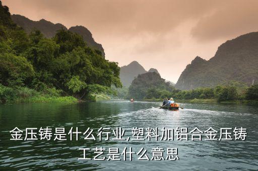 铝合金压铸是什么行业,塑料加铝合金压铸工艺是什么意思