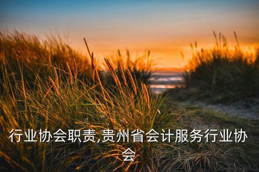 行业协会职责,贵州省会计服务行业协会