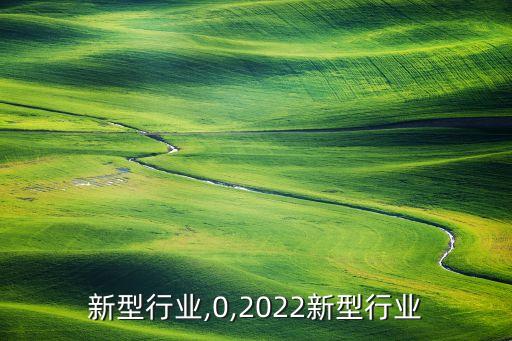 6大新型行业,0,2022新型行业