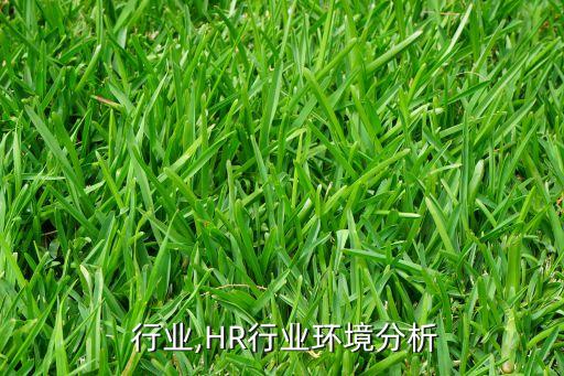  行业,HR行业环境分析