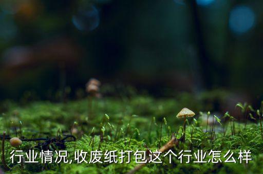 废纸行业情况,收废纸打包这个行业怎么样