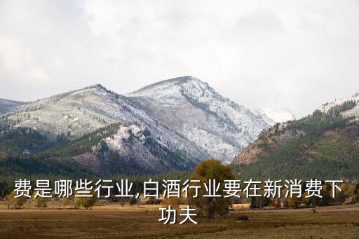 费是哪些行业,白酒行业要在新消费下功夫