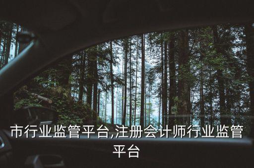 市行业监管平台,注册会计师行业监管平台