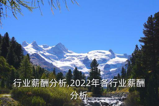 电商行业薪酬分析,2022年各行业薪酬分析