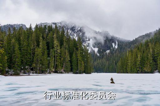 行业标准化委员会