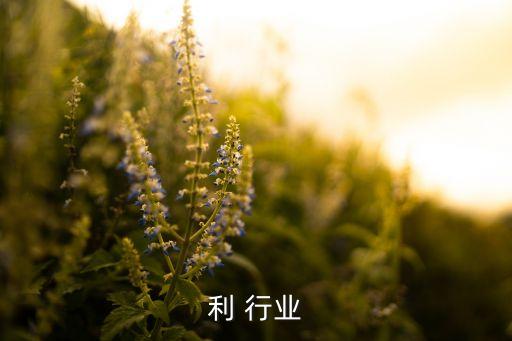 意大利 行业
